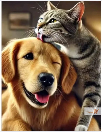 CEPILLO DE ASEO PARA GATOS Y PERROS™